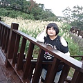 DSC08745.JPG