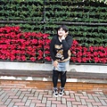 DSC02112.JPG