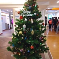 DSC05337.JPG