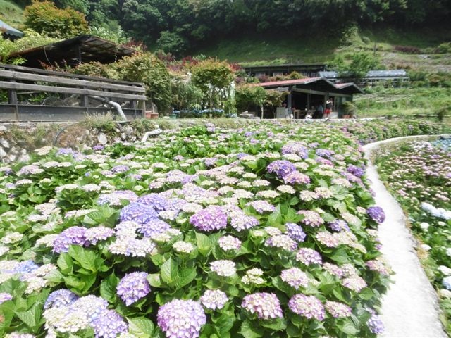 P1440829.JPG P1440829.JPG