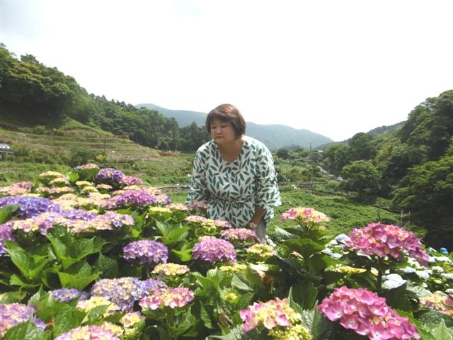 P1440846.JPG P1440846.JPG