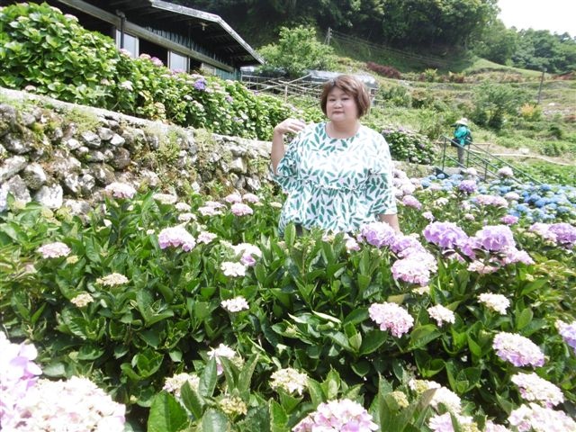 P1440942.JPG P1440942.JPG