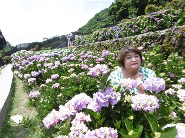 P1440977.JPG P1440977.JPG