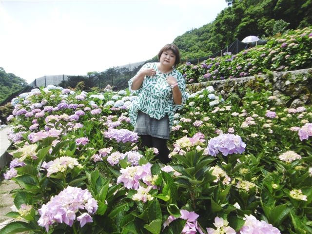 P1450070.JPG P1450070.JPG