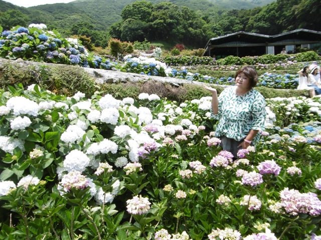 P1450136.JPG P1450136.JPG