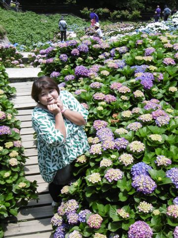 P1450258.JPG P1450258.JPG