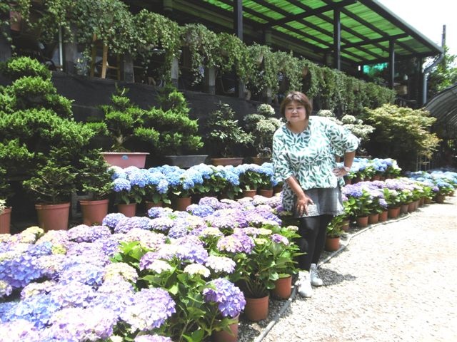 P1450277.JPG P1450277.JPG