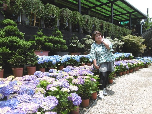 P1450275.JPG P1450275.JPG