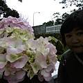 P2000239.JPG