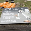 P1370484.JPG
