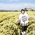 P1160587.JPG