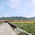 P1160872.JPG