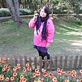 P1310884.JPG