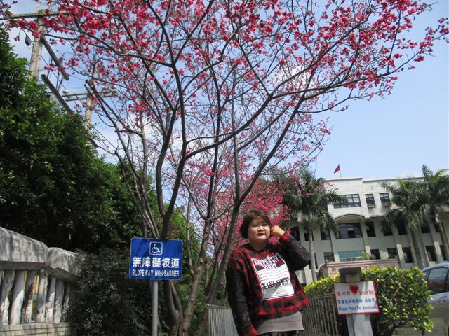 IMG_2767.JPG IMG_2767.JPG