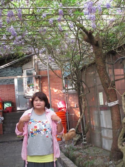 IMG_0791.JPG IMG_0791.JPG