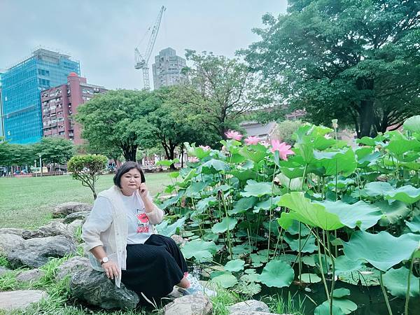 台北市/中正區/華山文創園區/美麗荷花賞拍趣