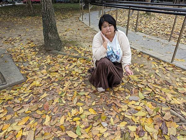 台北市/大安區/大安森林公園/落葉之美