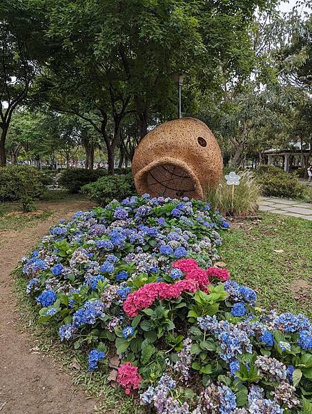 台北市/大安區/大安森林公園/美麗繡球花