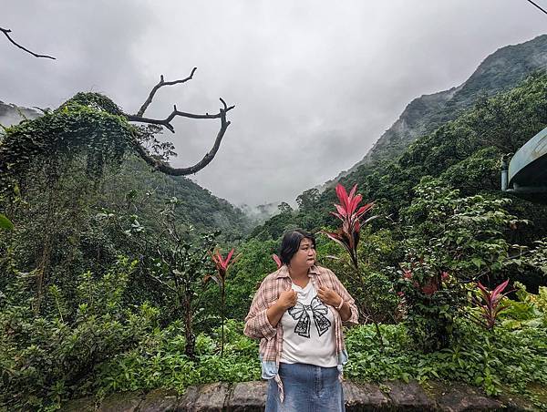 社區旅遊/宜蘭縣/礁溪鄉/五峰旗瀑布/雨中無法往上爬美食街加