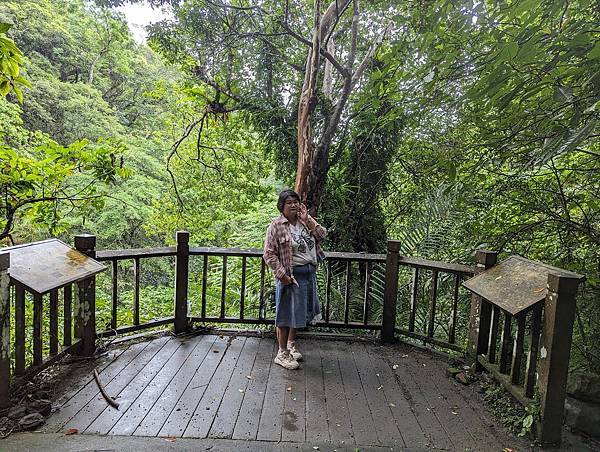 社區旅遊/宜蘭縣/礁溪鄉/五峰旗瀑布/雨中無法往上爬美食街加