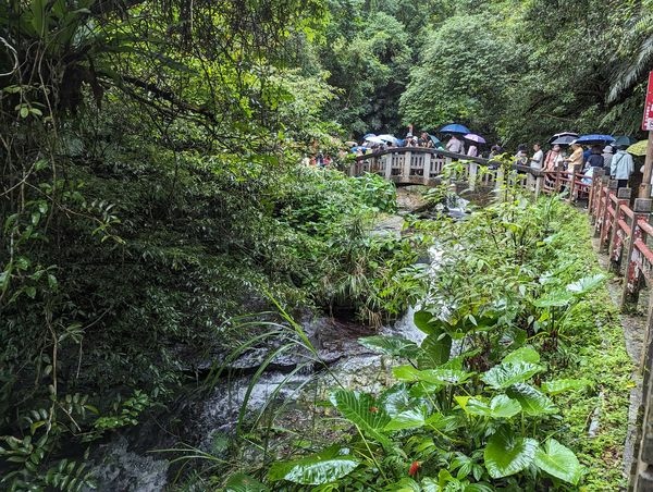社區旅遊/宜蘭縣/礁溪鄉/五峰旗瀑布/雨中無法往上爬美食街加