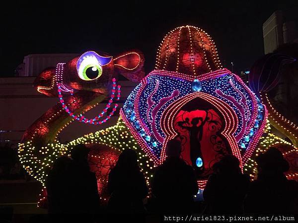 IMG_9742.jpg