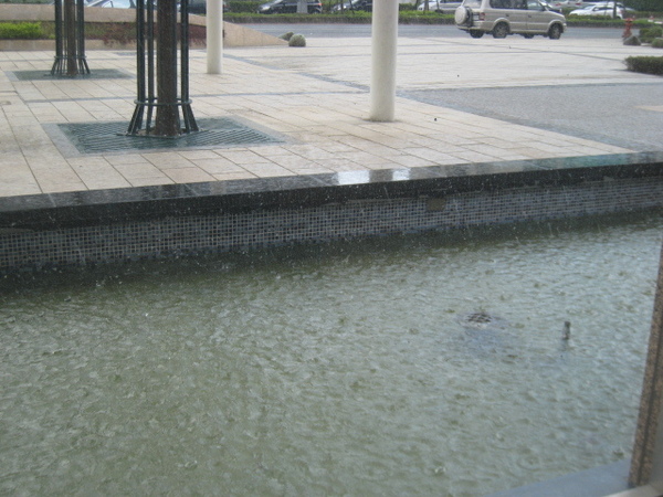 82.非常幸運的躲過這一場雨.JPG