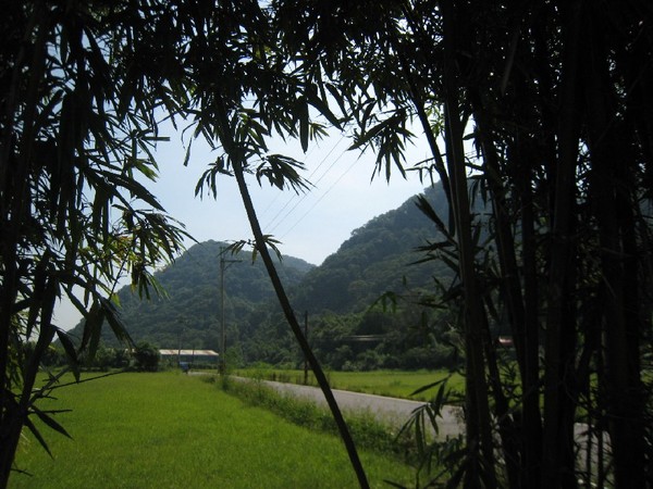 36.鄉村景色.JPG