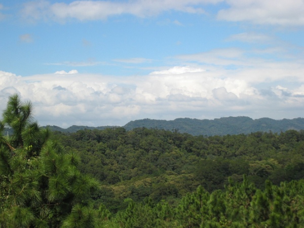 遠眺山景