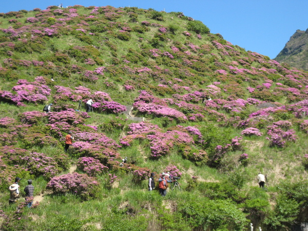 仙醉峽