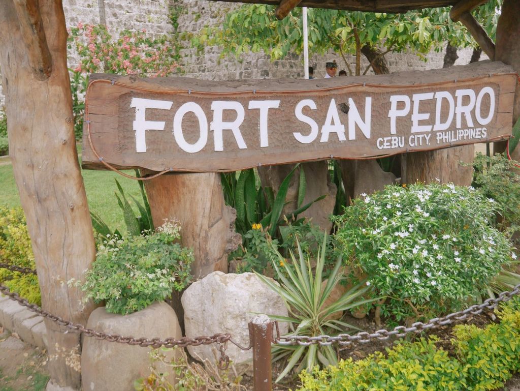 IMG_5937_结果.JPG IMG_5937_结果.JPG