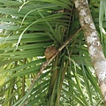 P1630966_结果.JPG