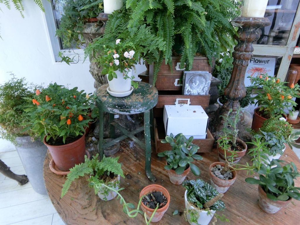 CIMG1914_结果.JPG CIMG1914_结果.JPG