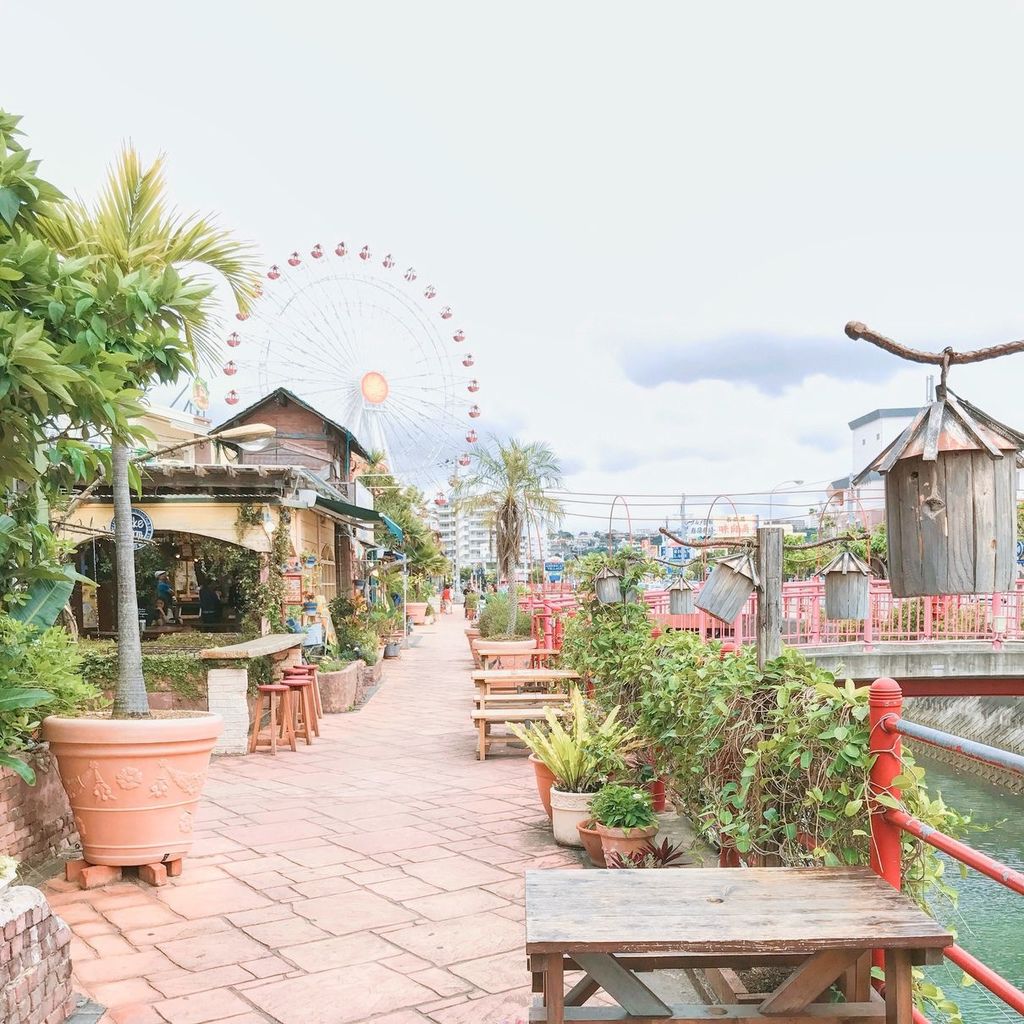 IMG_5584_结果.JPG IMG_5584_结果.JPG