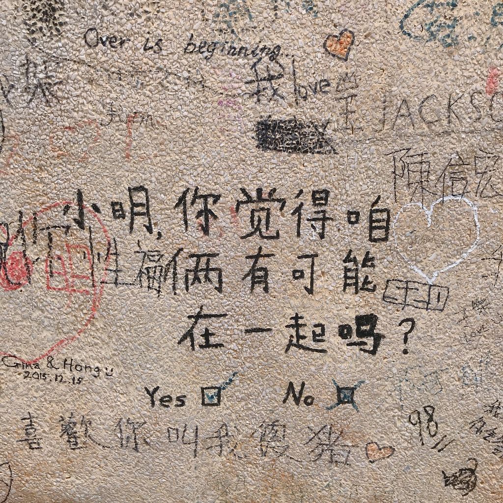 S__23052325.jpg S__23052325.jpg