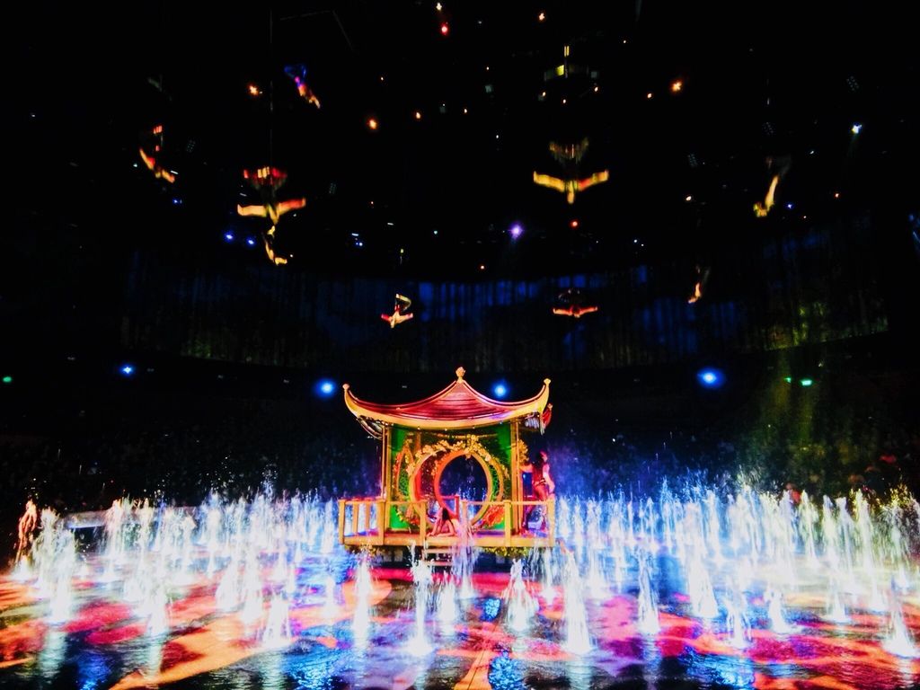 S__23429126.jpg S__23429126.jpg