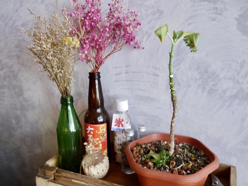 Ariel Lee李氏Cafe,東區美食義大利麵店咖啡店推薦 Ariel Lee李氏Cafe,東區美食義大利麵店咖啡店推薦