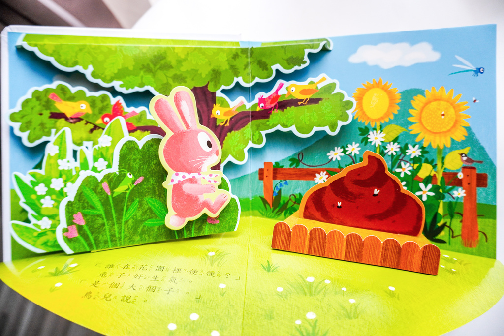 DSC02626.jpg DSC02626.jpg