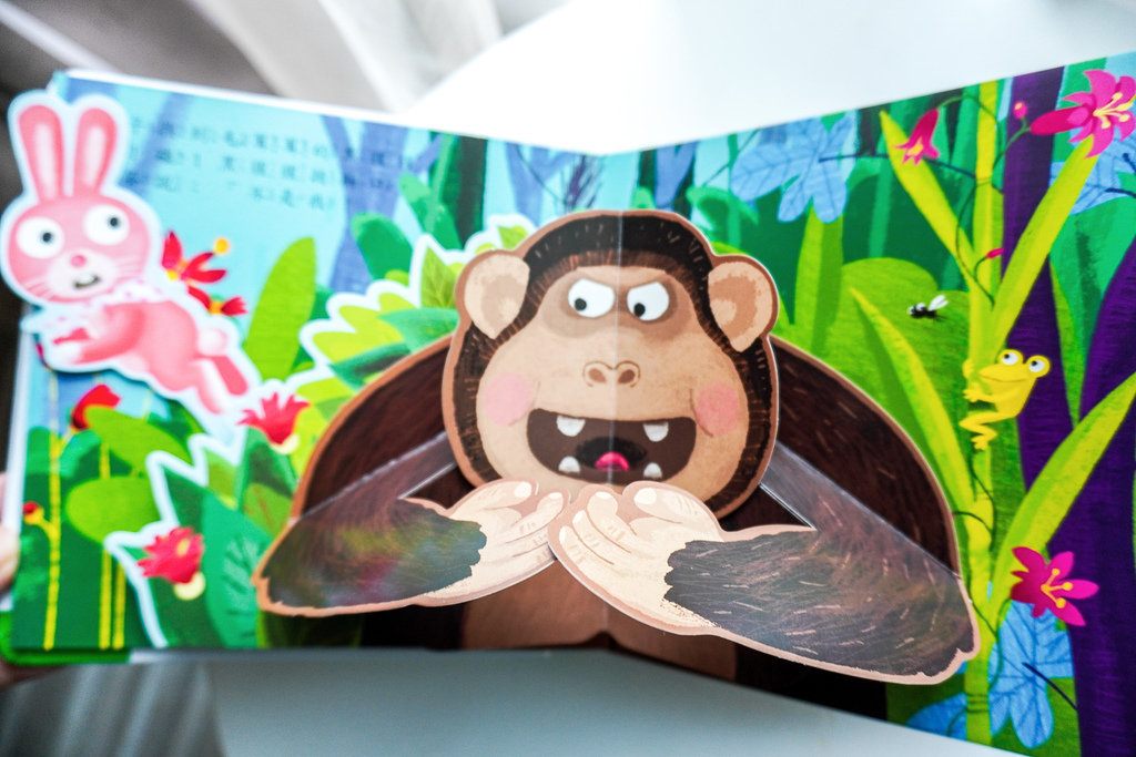 DSC02627.jpg DSC02627.jpg