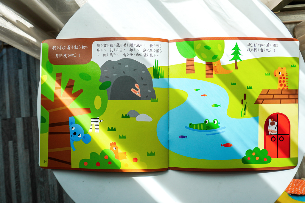 DSC02650.jpg DSC02650.jpg