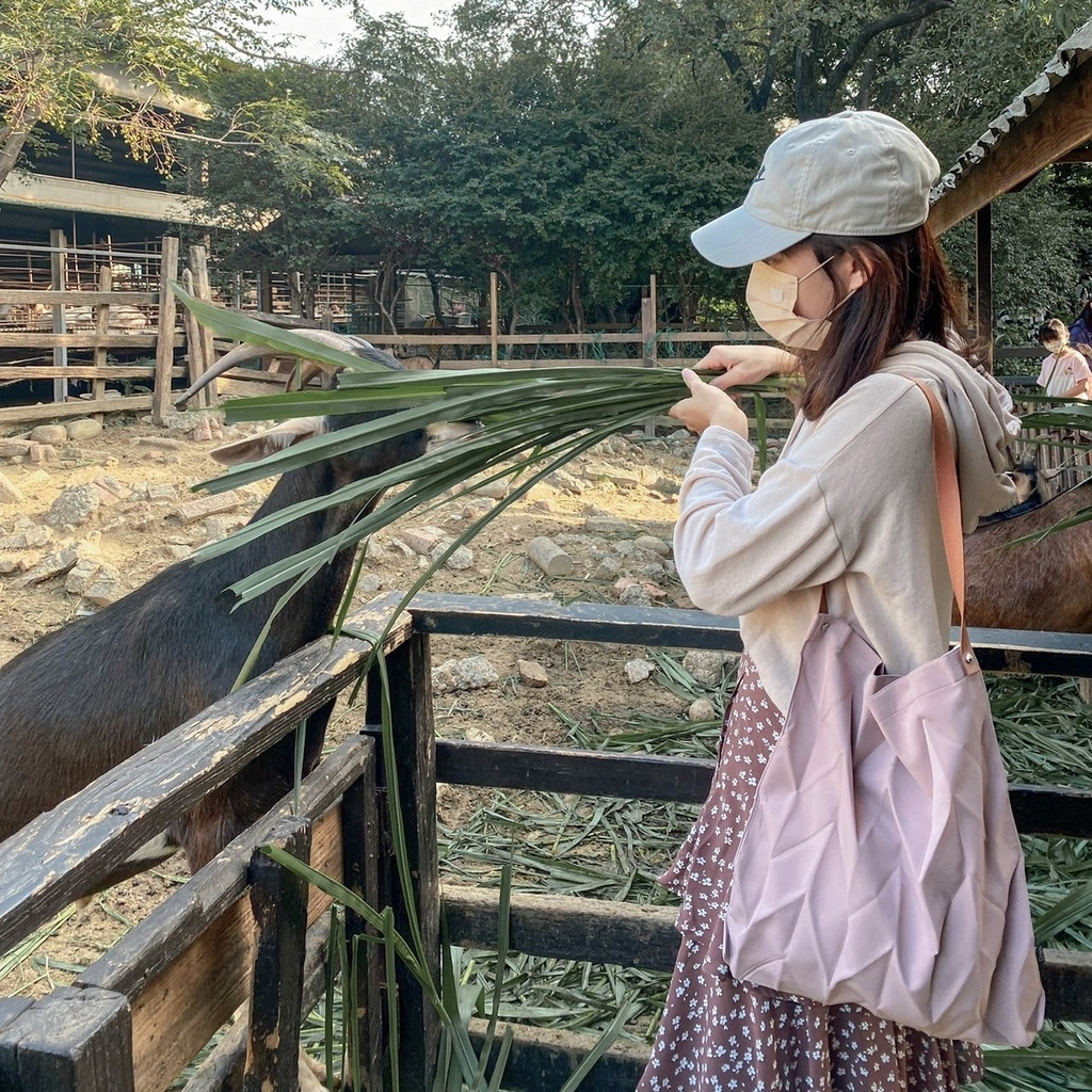 泰國PAVI STUDIO摺疊包開箱,泰國摺疊包穿搭 泰國PAVI STUDIO摺疊包開箱,泰國摺疊包穿搭