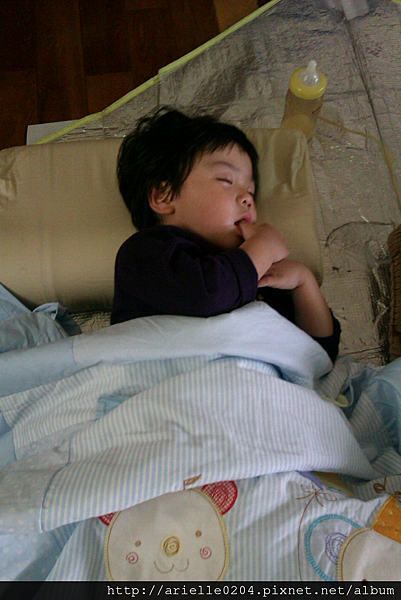 IMG_4297 IMG_4297
