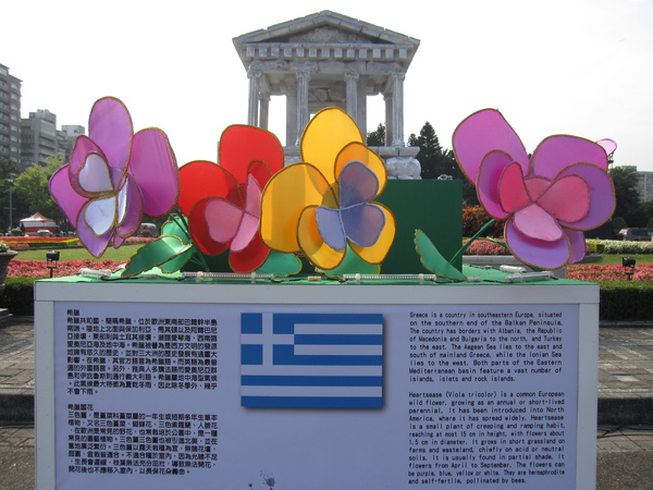 希臘國花--三色堇