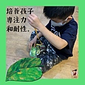 【台中幼兒課程】OMO幼兒創意開發藝術課程 | 台中幼兒課程 | 台中幼兒才藝