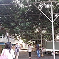 20130811_172401 (复制).jpg