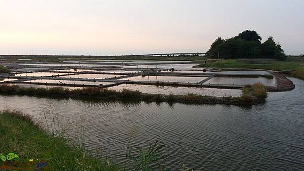 20130811_182615 (复制).jpg