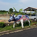 20130811_152027 (复制).jpg