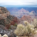 Grand Canyon 291.1