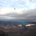 Grand Canyon 334.1