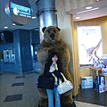 機場裡商店的大熊